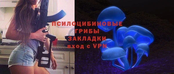 ПСИЛОЦИБИНОВЫЕ ГРИБЫ Вязники