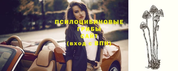 твердый Вяземский