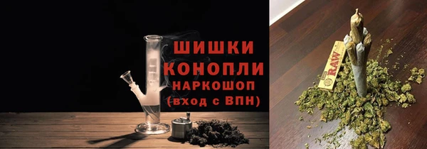 ПСИЛОЦИБИНОВЫЕ ГРИБЫ Вязники