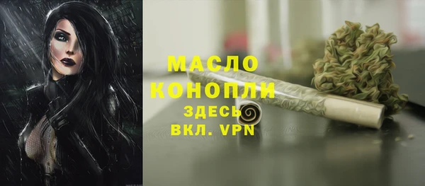 твердый Вяземский