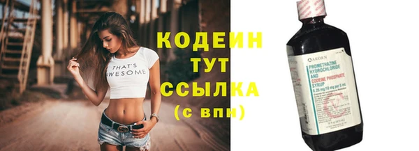 твердый Вяземский
