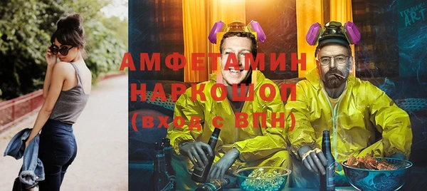 твердый Вяземский