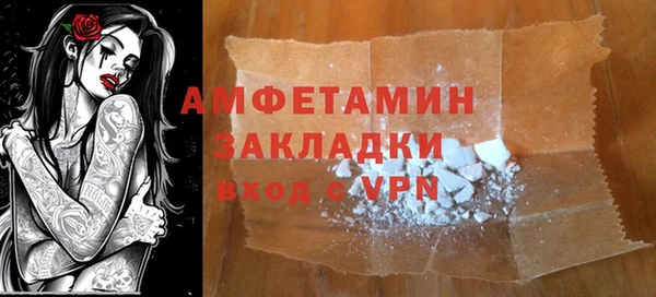 твердый Вяземский