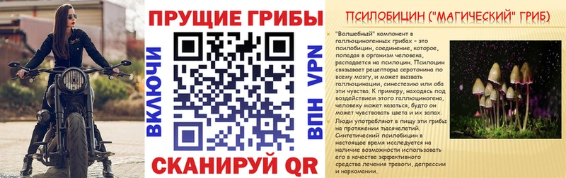 Псилоцибиновые грибы ЛСД  закладки  Королёв 